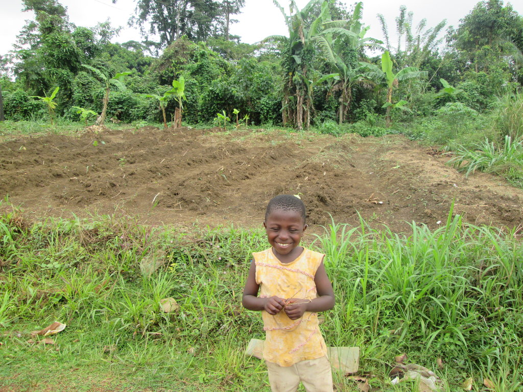 Fish To Keep an Orphanage Alive