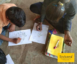 Children revise and recall parts of various plants