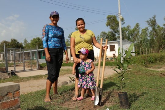 Fruit tree planting foundation 2018