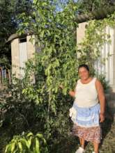 A cooperative member with her one-year old cashew!