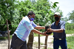 Tree distributions in El Salvador this July