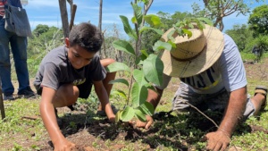 A father & son plant a guava tree at home in 2022