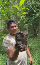 Reforestation of edible trees in El Salvador, 2025