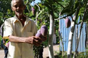 We revisited Don Juan Pedro de Avarca again!