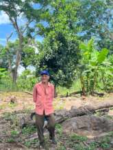 A farmer amidst maturing fruit trees (July 2024)