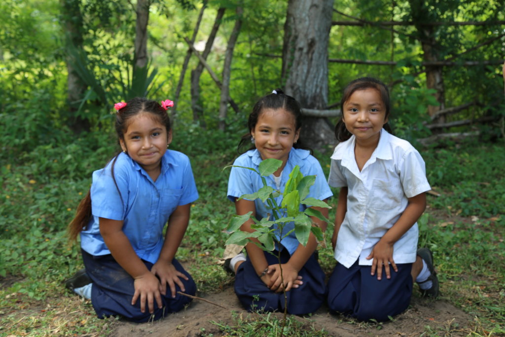 100,000 Fruit Trees for El Salvador