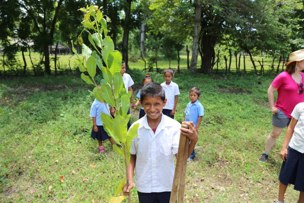 100,000 Fruit Trees for El Salvador
