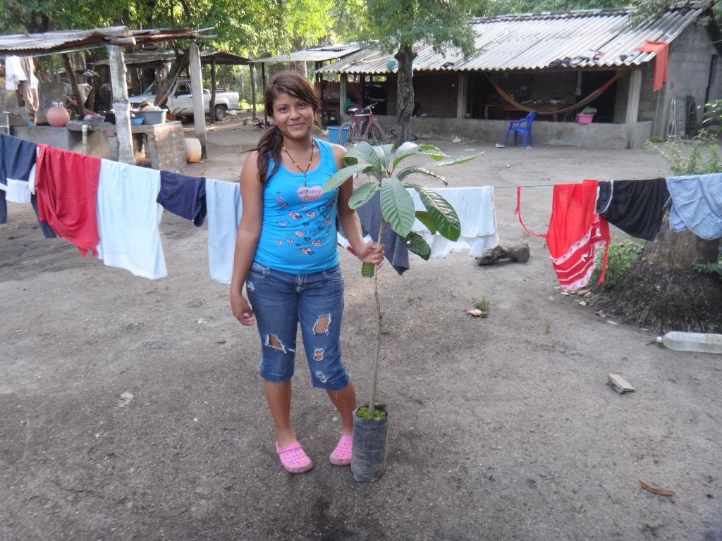 100,000 Fruit Trees for El Salvador