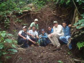 Native Tree Reforestation