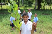 100,000 Fruit Trees for El Salvador