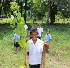 100,000 Fruit Trees for El Salvador