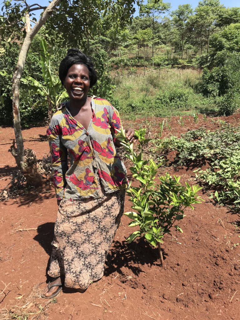 Sylivia and her citrus trees