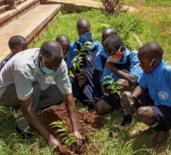School orchard planting in Uganda in 2021