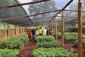 FTPF's partner nursery outside of Jinja, Uganda