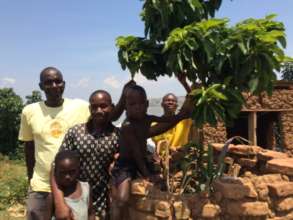 Kismia's 1 fruit tree now has 300 neighbors!