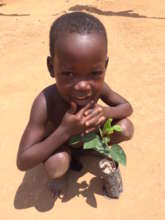 Fruit Trees for Uganda 2015