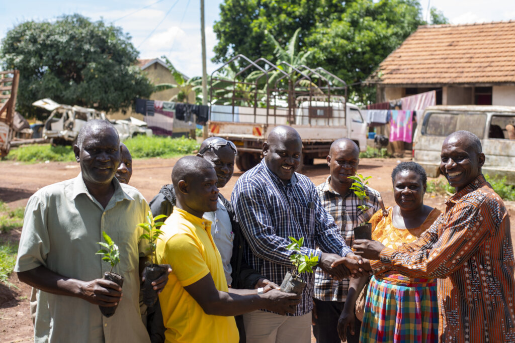 30k trees planted in Uganda alone in 2025