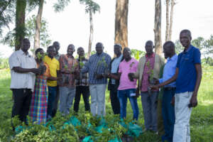 Distributions in Uganda in April-May 2025