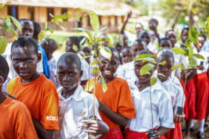 School orchard planting in Busoga, April 2026