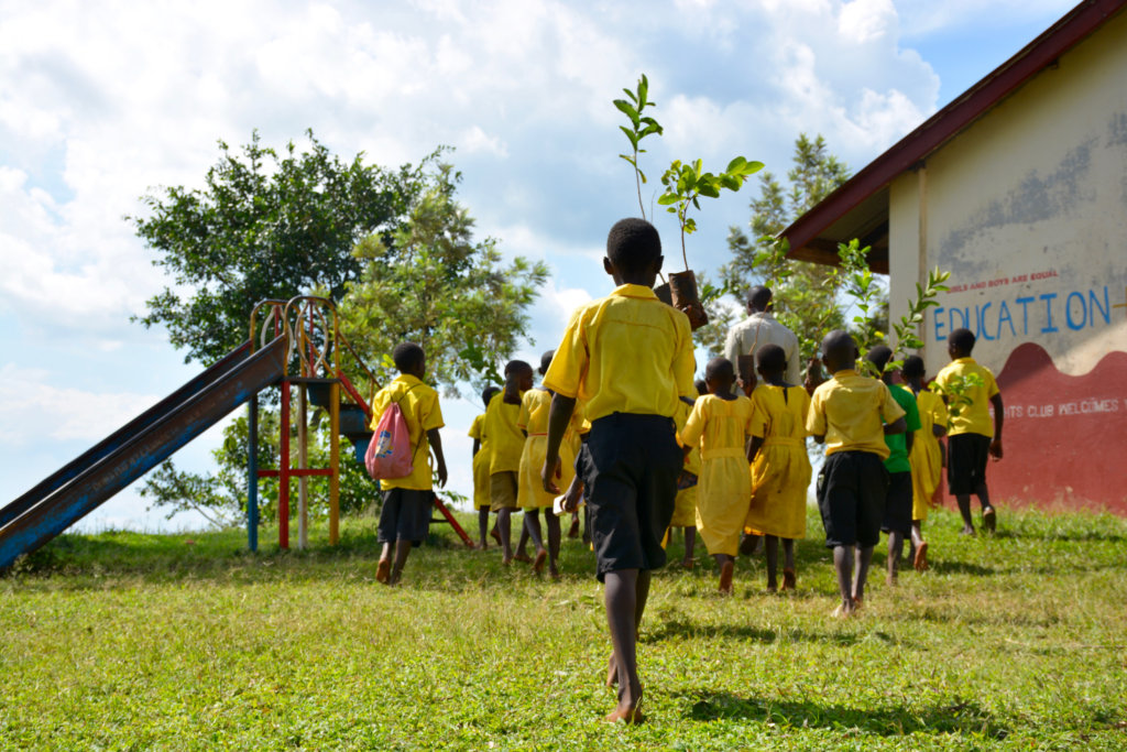Fruit trees for sustainable livelihoods in Uganda