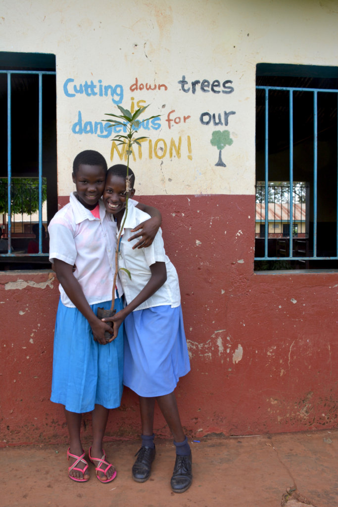Fruit trees for sustainable livelihoods in Uganda