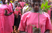 Fruit trees for sustainable livelihoods in Uganda