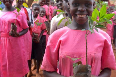 Fruit trees for sustainable livelihoods in Uganda