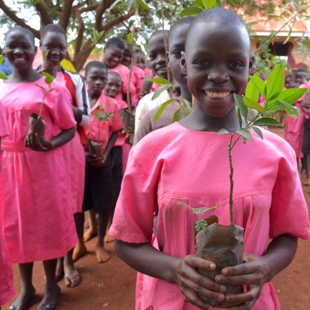 Sustainable orchards & agroforestry in Uganda