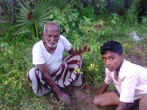 climate change-Tree plantation Ramanathapuram Dist