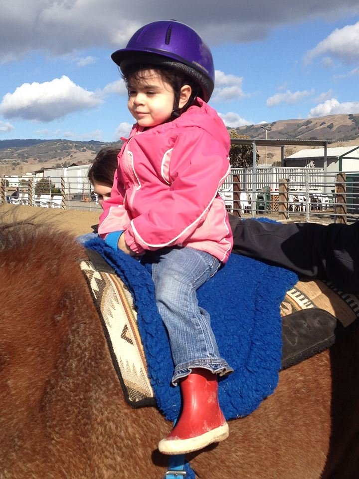 Support Our Team of Therapy Horses