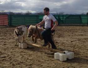 Horses for Warriors 2014