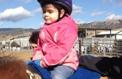 Support Our Team of Therapy Horses
