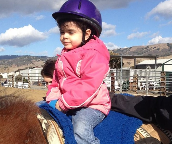 Support Our Team of Therapy Horses