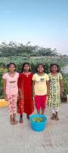 Kitchen Garden