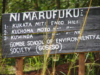 Gombe School of Environment and Society (GOSESO)