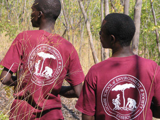 Gombe School of Environment and Society (GOSESO)