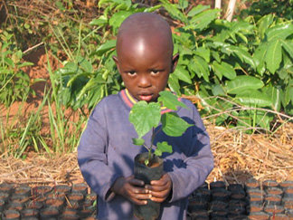 Gombe School of Environment and Society (GOSESO)