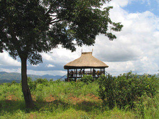 Gombe School of Environment and Society (GOSESO)
