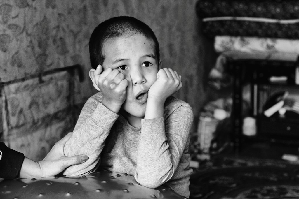 Teach 24 Kyrgyz autistic children learning skills