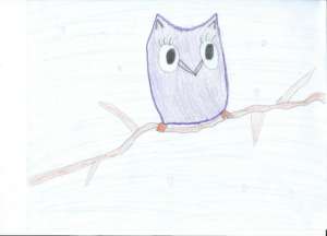 picture that drew a mentee as a present for PaSch