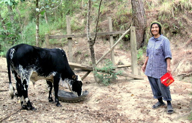 Organic Seed Bank Establishment in Philippines