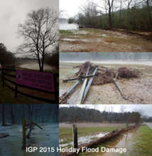 IGP Flood Damage