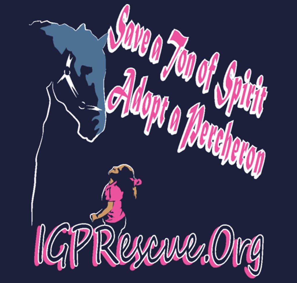 Buy a Bale... of Hay for the Rescue horses!