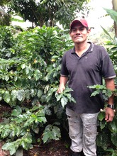 Don Enrique at the coffee farm in Chachagua