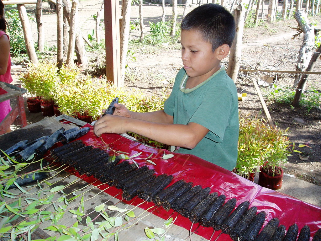 Help Build a Climate Education Center in Nicaragua