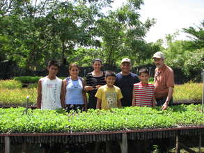 Biomass forest plots