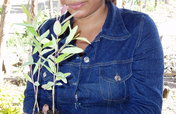 Help Build a Climate Education Center in Nicaragua