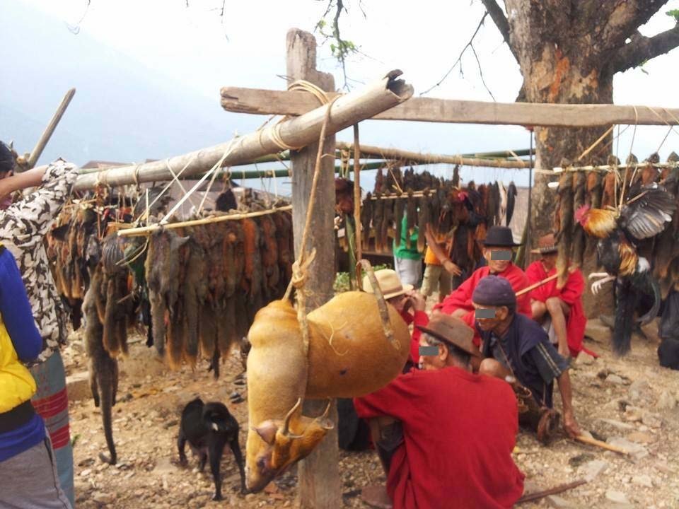 Stop mass hunting of wildlife in India