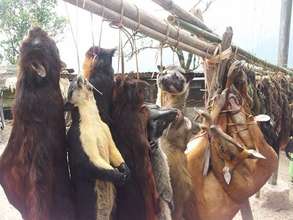 Stop mass hunting of wildlife in India