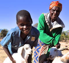 Child and guardian with gift of goats
